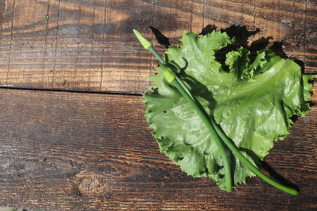 Fresh green lettuce leaves on wooden table. Top view with copy spaceの写真素材