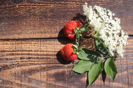 Strawberries and elderberry flowers on wooden background. Top viewの写真素材
