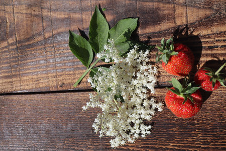 Strawberries and elderberry flowers on wooden background. Top viewの写真素材