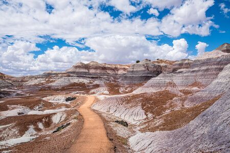 Beautiful, colorful hues form the canyons along the main path of the Blue Mesa Trail - Petrified Forest National Parkの写真素材
