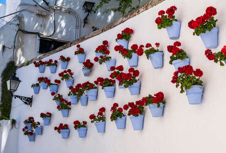 Flower wall in Old Town - Marbella, Spain