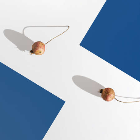 Sunlit wild pomegranates on the pastel and dark blue background. Minimal flat lay concept.の写真素材