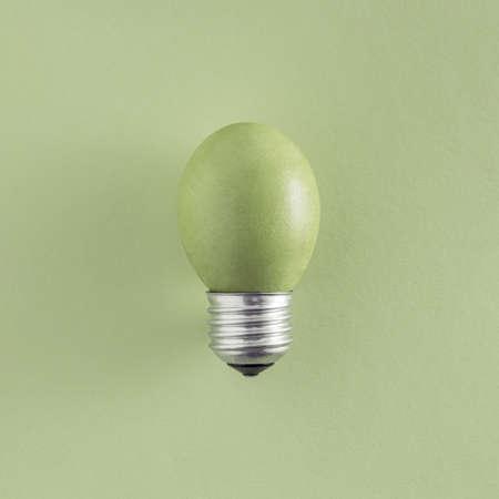Delicate olive green Easter egg as bulb isolated on pale green background creative idea. Minimal flat lay.の写真素材