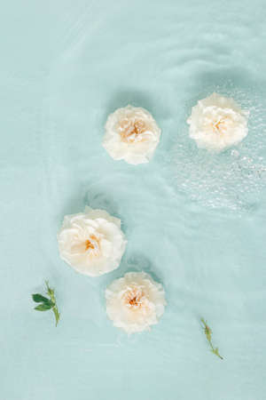Delicate summer flat background of white flowers of roses illuminated by flowers in full bloom floating in turquoise water. Spa and wellness still life. Minimal invitation and floral love card.の写真素材