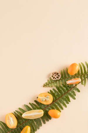 Tropical summer fruit arrangement made of pieces of raw citrus on a green fern leaf on pastel beige background. Minimal flat lay. Organic health food and vacation concept.の写真素材
