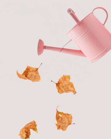 Withered, dry, golden plane tree leaves fall out of the pink metal watering can. Minimalist natural autumn season arrangement isolated on a pastel beige background. Autumn season note card concept.の写真素材
