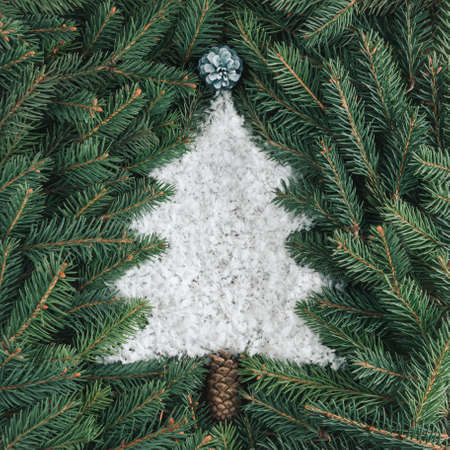 Fir branches with green, shiny leaves and cones. White Christmas tree shape copy space made of snow. Natural, winter, holiday pattern. New year greeting or invitation card idea. Minimal flat lay.の写真素材