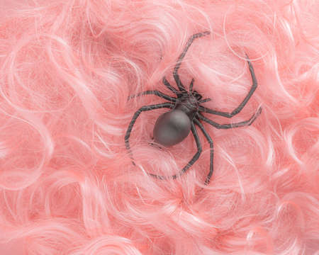 Large black spider standing in soft hairy pastel pink orange fur. Minimal flat lay. 2021. Abstract Halloween invitation card concept. Fashion accessory or decor for Halloween october party.の写真素材