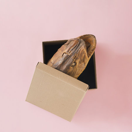 Head of pike fish with sharp teeth protrudes from open cardboard box on pastel beige-pink background. Minimal creative abstract surreal concept of aggression. Fishing card. The ideの写真素材