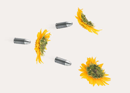 Bullets fired into beautiful yellow sunflowers in full bloom floating on pastel beige background. Creative peaceful concept, symbol of innocent victims of war. Stop the aggression.の写真素材