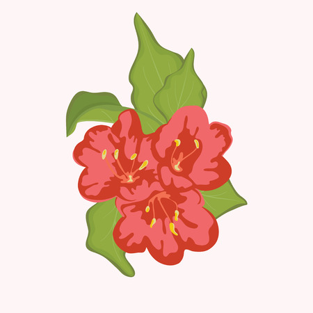 Bouquet of bridal  tropical flowers のイラスト素材