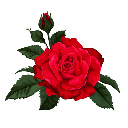 Floral greeting card with roses and frame. Background with polka dot. Perfect for greeting cards and invitations of the wedding, birthday, Valentine day, Mothers dayのイラスト素材
