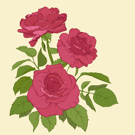 Blossoming roses with spring flowers on white. Vector illustration. Perfect for background greeting cards and invitations of the wedding, birthday, Valentine\\\\\\\\\\\\\\\\\\\\\\\\\\\\\\\\\\\\\\\\\\\\\\\\\\\\\\\\\\\\\\\\\\\\\\\\\\\\\\\\\\\\\\\\\\\\\\\\\\のイラスト素材