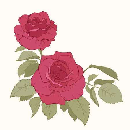 Vector rose flower isolated . Element for design. Hand-drawn contour lines and strokes.のイラスト素材
