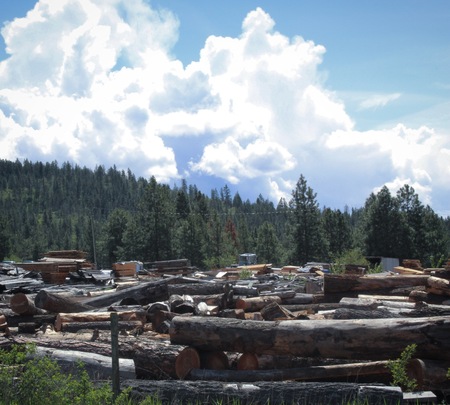 Industrial logging yard with large cut logs and bright blue sky and white clouds background.の写真素材