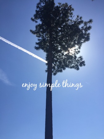 Inspirational white text on clear blue sky with tall pine tree and airplane line cloud isolated....