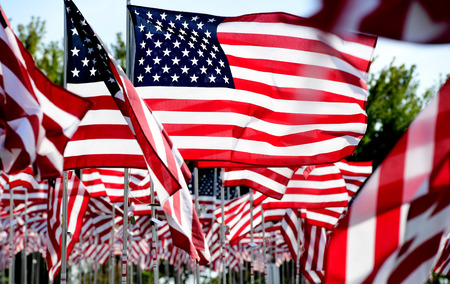Field of American Flags