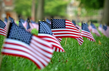 Field of American Flagsの写真素材
