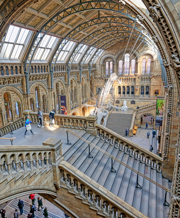London, United Kingdom - April 17, 2019 - The interior of Natural History Museum and and whale skeleton in London, United Kingdom.のeditorial素材