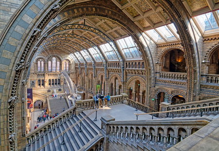 London, United Kingdom - April 17, 2019 - The interior of Natural History Museum and and whale skeleton in London, United Kingdom.のeditorial素材