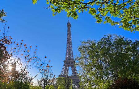 A view of the Eiffel Tower in Paris, France.の写真素材
