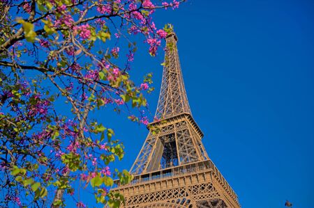 A view of the Eiffel Tower in Paris, France.の写真素材
