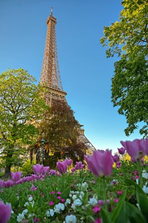 A view of the Eiffel Tower in Paris, France.の写真素材