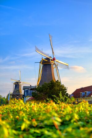 Historic windmills located in Kralingen Lake in Rotterdam, the Netherlands.の写真素材
