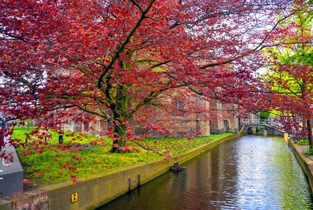 The canals and waterways in the city of Delft in The Netherlands on a sunny day.の写真素材