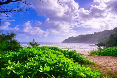 The beach along the coast of Kauai, Hawaii.の写真素材