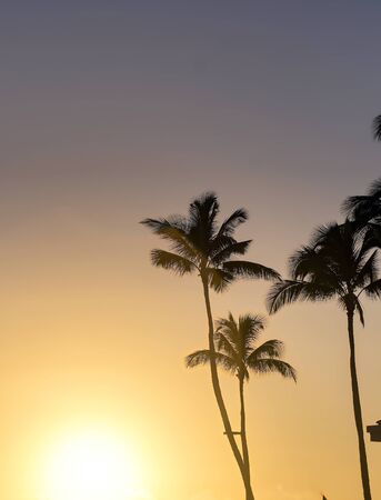 Sunset over the coast of Kauai, Hawaii.の写真素材