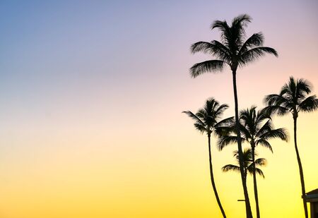 Sunset over the coast of Kauai, Hawaii.
