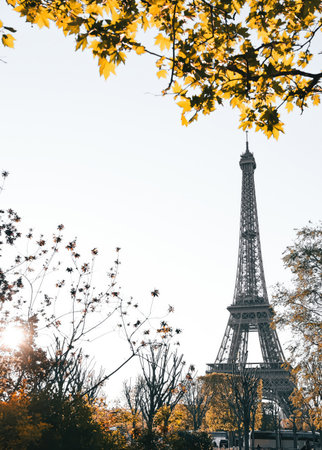 The Eiffel Tower in Paris, France during autumn with warm seasonal tones and soft natural light....