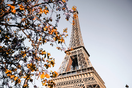 The Eiffel Tower in Paris, France during autumn with warm seasonal tones and soft natural light....