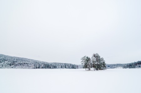 Clean view of a frozen lake with a small island with trees. Sognsvann lake in Oslo. Copy spaceの写真素材