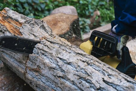 Close-up of man with a chainsaw sawing a large log, harvesting firewood.