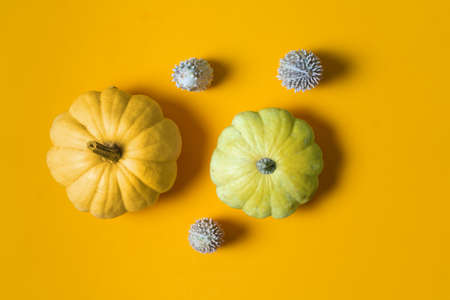 Autumn composition. Pumpkins on yellow background. Autumn, halloween concept. Flat design, top view.の写真素材