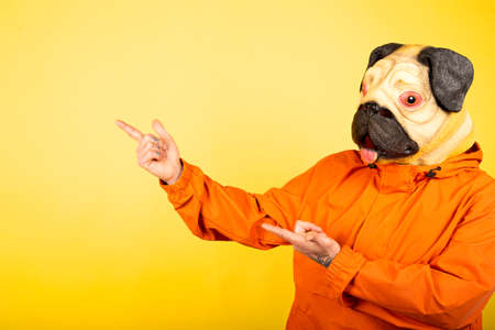 Dog-headed man pointing to the side with his hands with room for text.の写真素材