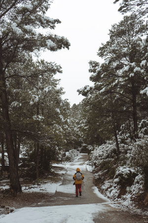 Hiker Walking down the snowy mountain roadの写真素材