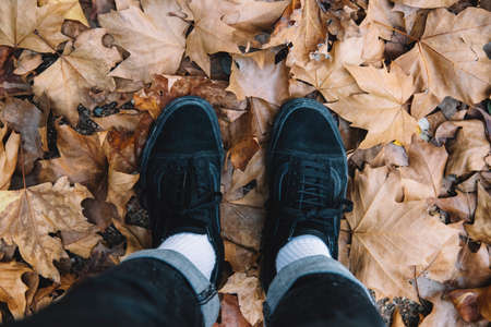 hiking boots in autumn on a path with leaves