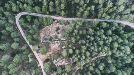 Top view of a pincer curve mountain roadの写真素材