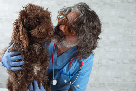 Veterinarian doctor and dog at the veterinary office. Medicine, pet care, healthcare. Veterinary care. Veterinary medicine concept.の写真素材