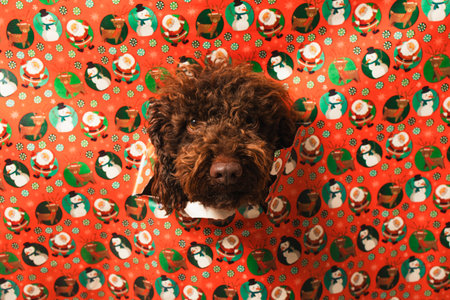Brown dog emerging from torn holiday paper, representing a surprise seasonal gift