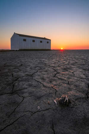 Construction in a dry ground at sunset with little crab parts on the foregroundの写真素材