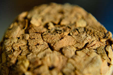 wine cork tops macro with texture topの写真素材