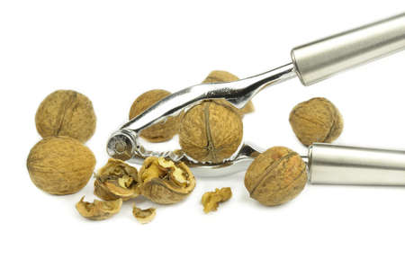 Nutcracker opening some nuts.の写真素材