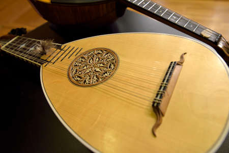 Baroque mandolin and plectrum.の写真素材
