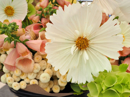 fresh daisy mixed boquet of flowers in basket at eugene saturday marketの写真素材