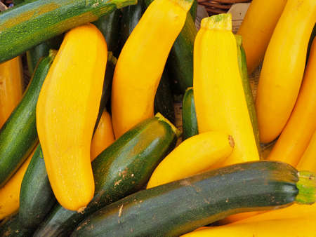 fresh organic green and yellow summer squash at eugene saturday marketの写真素材