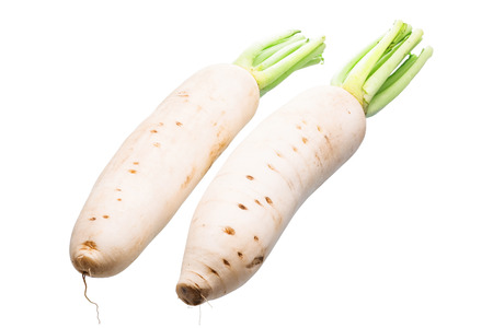 Daikon radishes isolated over white background.の写真素材